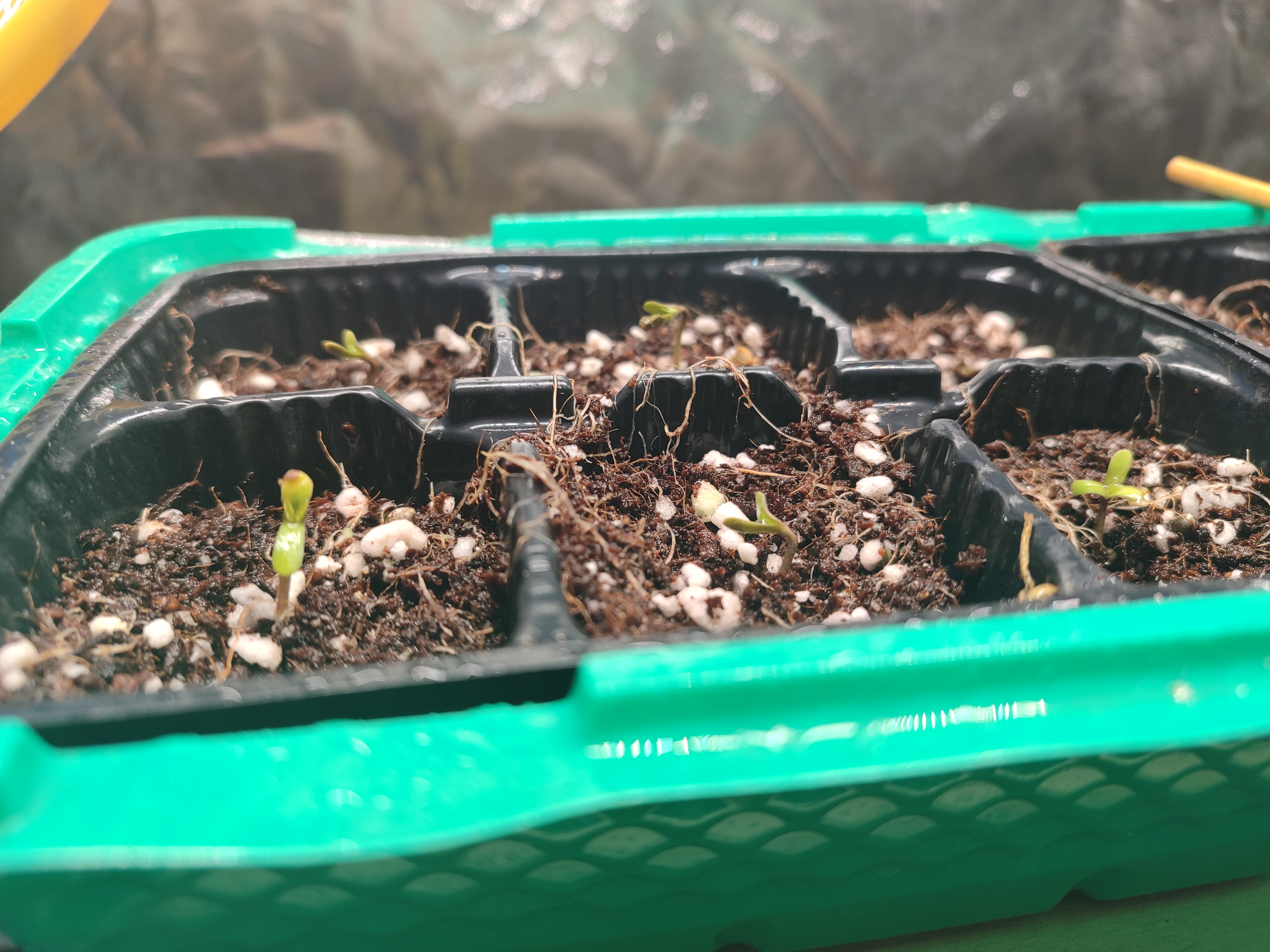 2025-03-08 120605.jpg