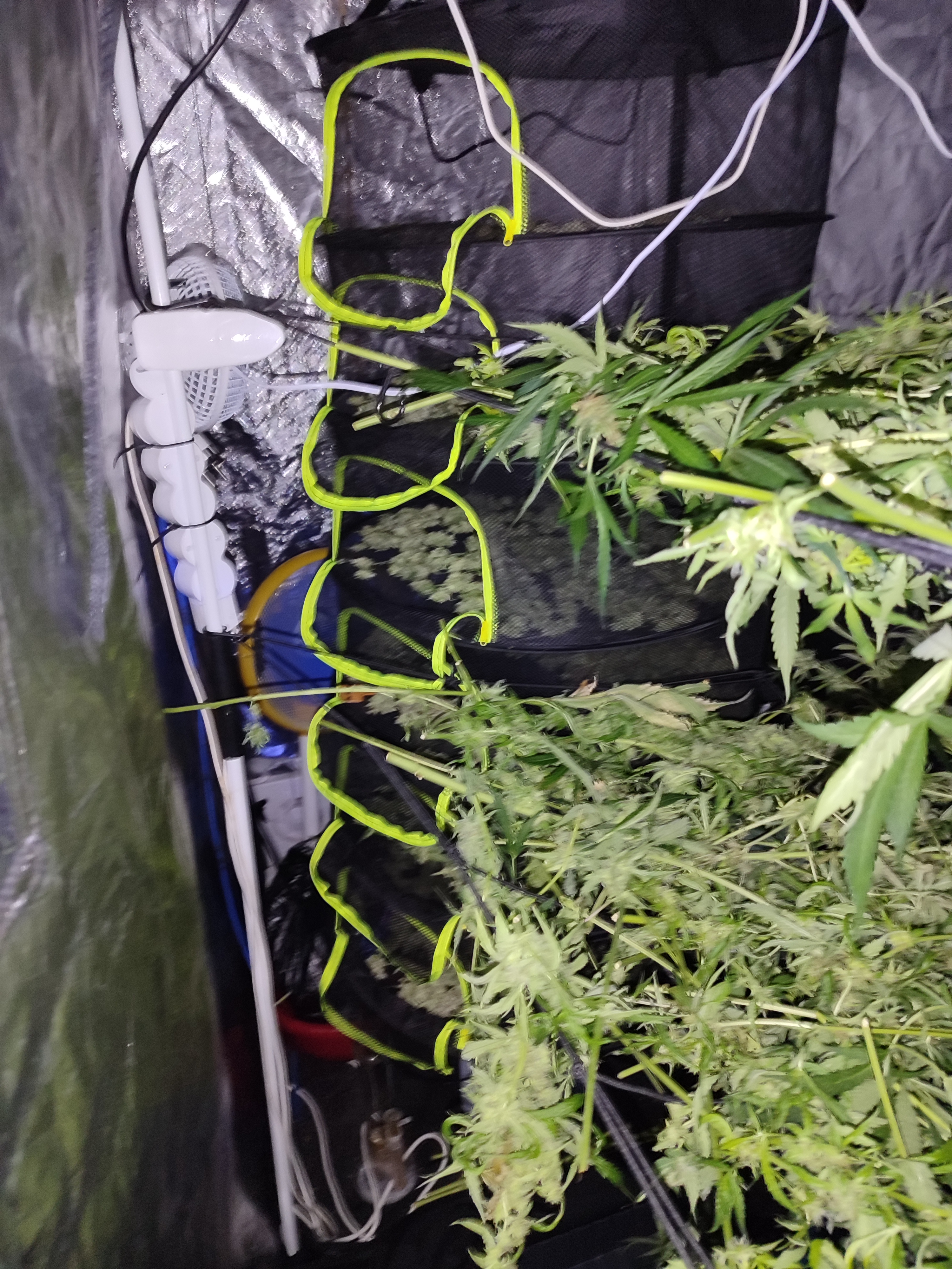 2025-06-03 120612.jpg