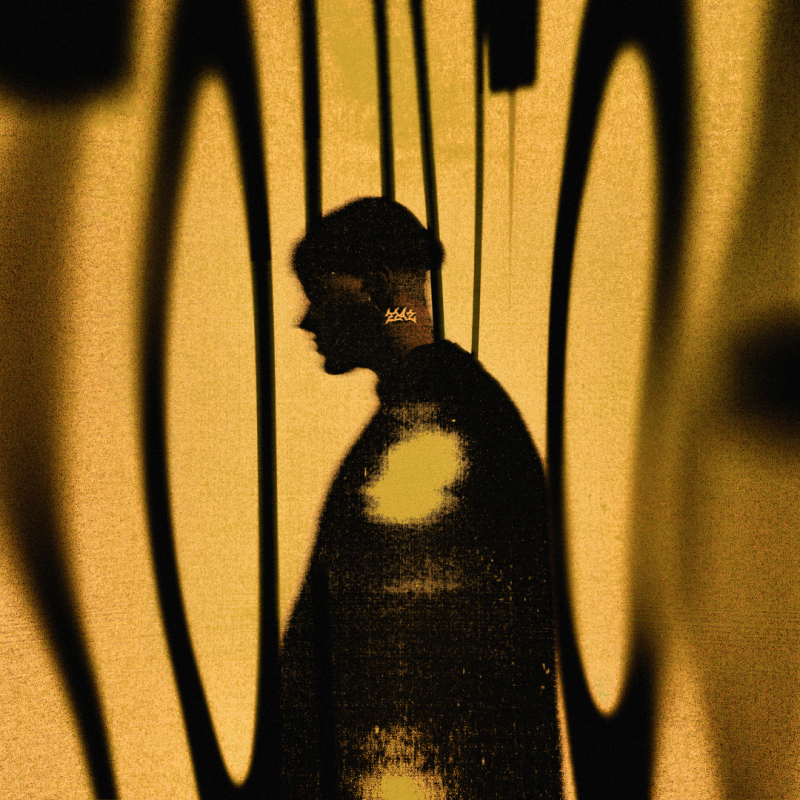 Hollyflame -Тону.jpg