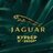 JAGUAR-Shop