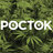 POCTOK